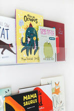 Load image into Gallery viewer, James Reese Baby | Clear Acrylic Bookshelves